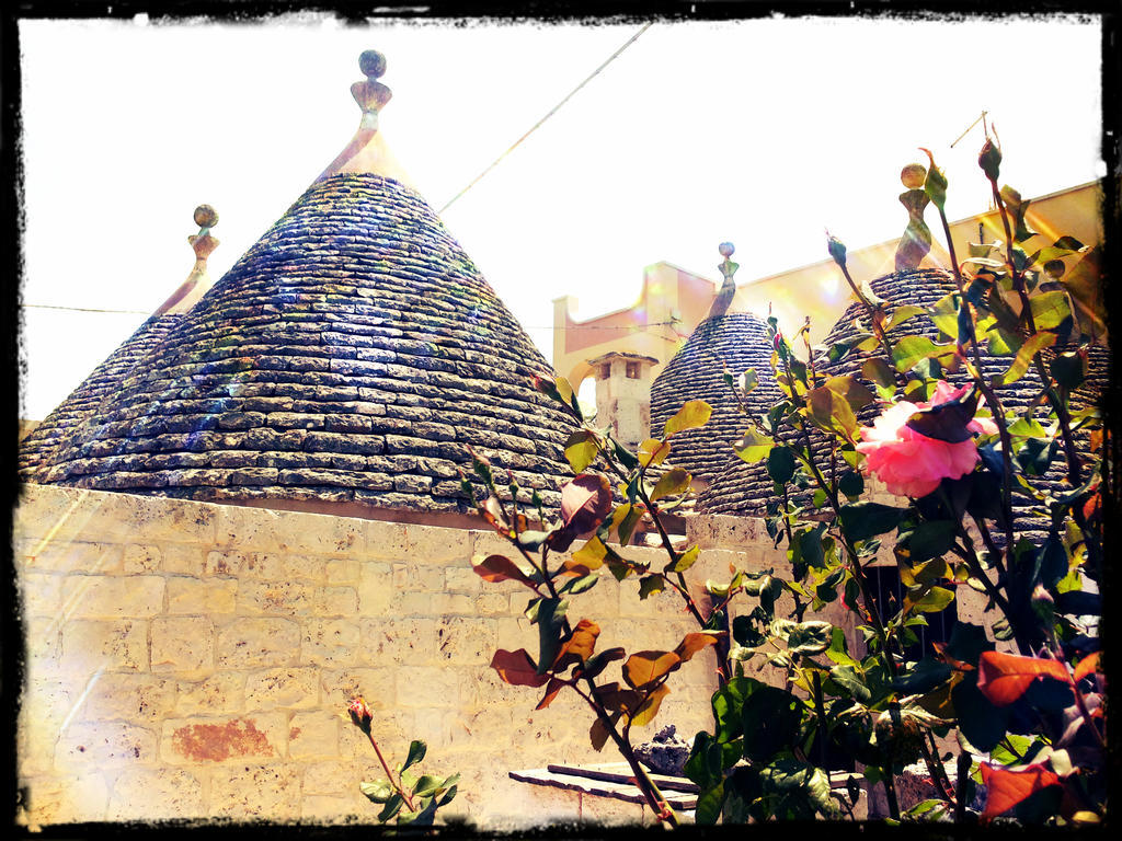 Dimora Matarrese B&B Trulli Alberobello Exterior photo